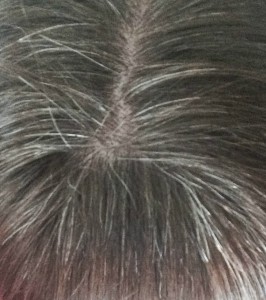 gray hair 1