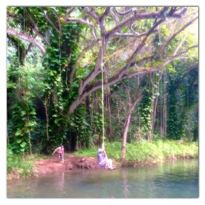 Waiipo falls