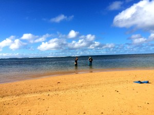 Anini Beach