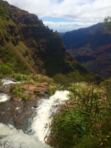 Waimea canyon 4