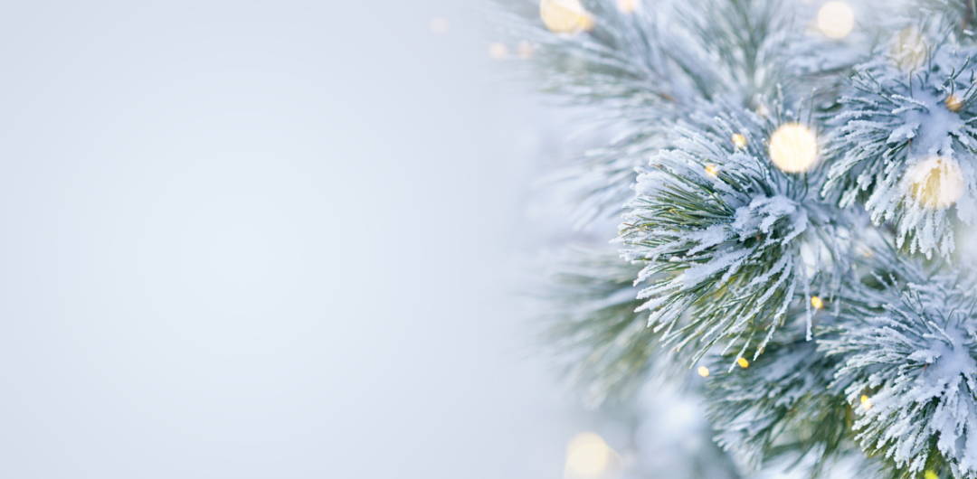 12 Days of Christmas for Neighbors: Fun and Useful Christmas Service -  Brooke Romney Writes