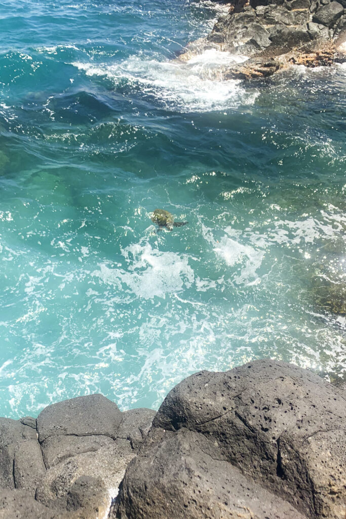 Teenagers rock pool fishing and exploring the low tide sea water