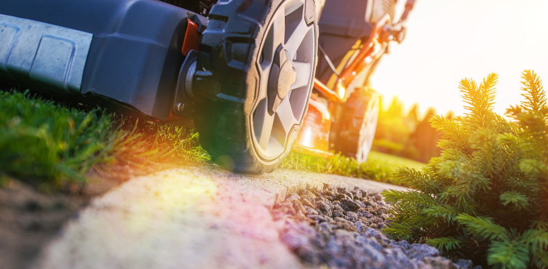 The Best Summer Jobs for Teens and Other Ways to Earn Money