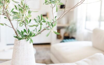 Brooke’s Recommendations